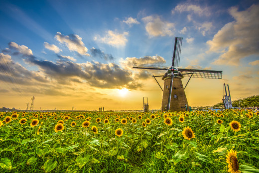950643 (a): :2048x1367